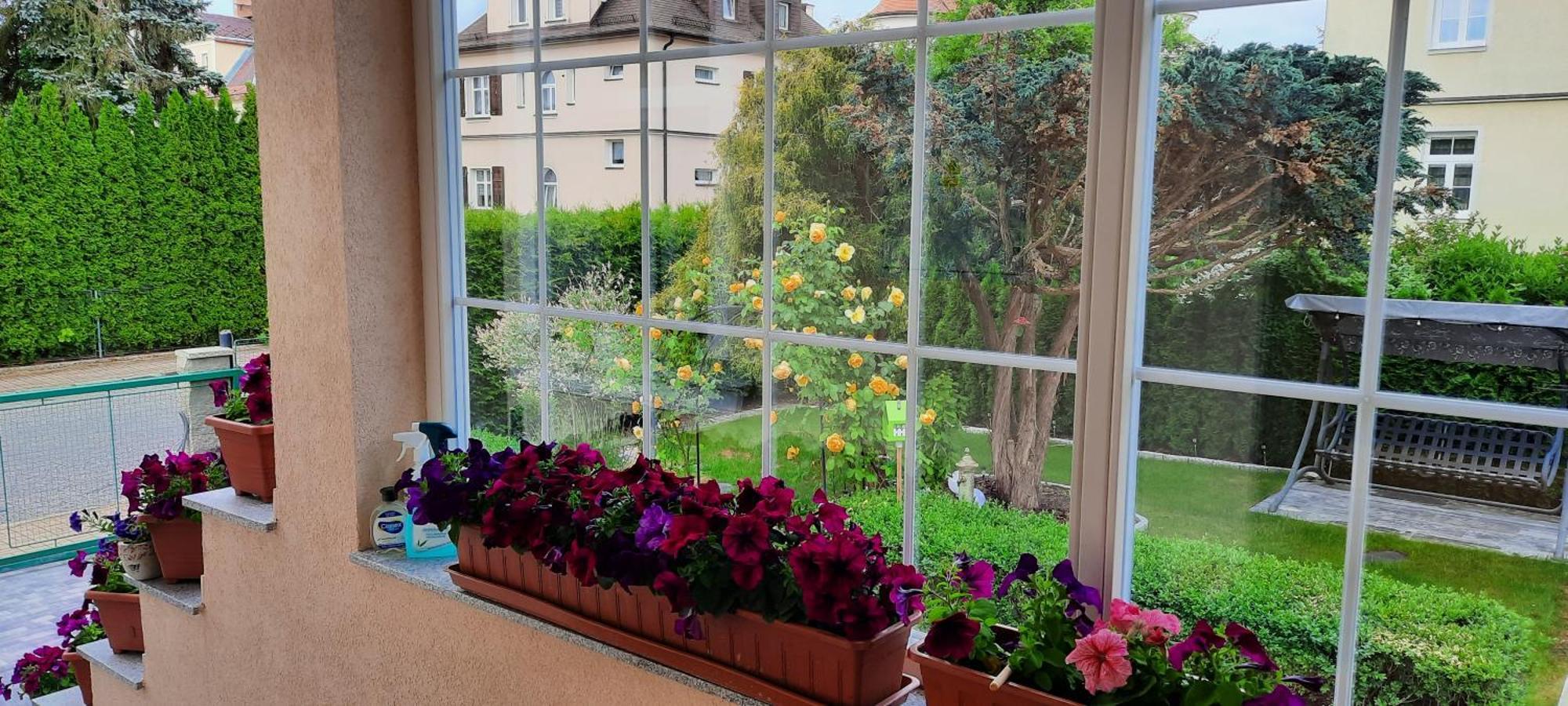 Villa Shafaly Mariánské Lázně Eksteriør billede