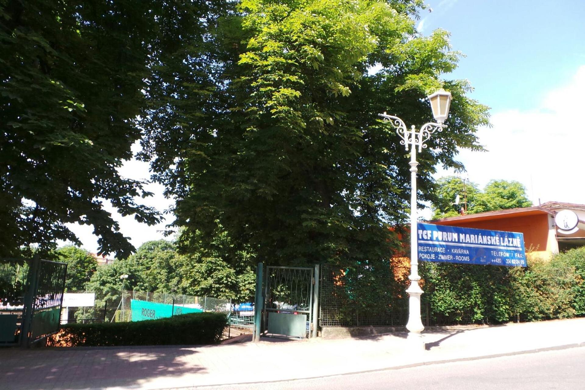 Villa Shafaly Mariánské Lázně Eksteriør billede