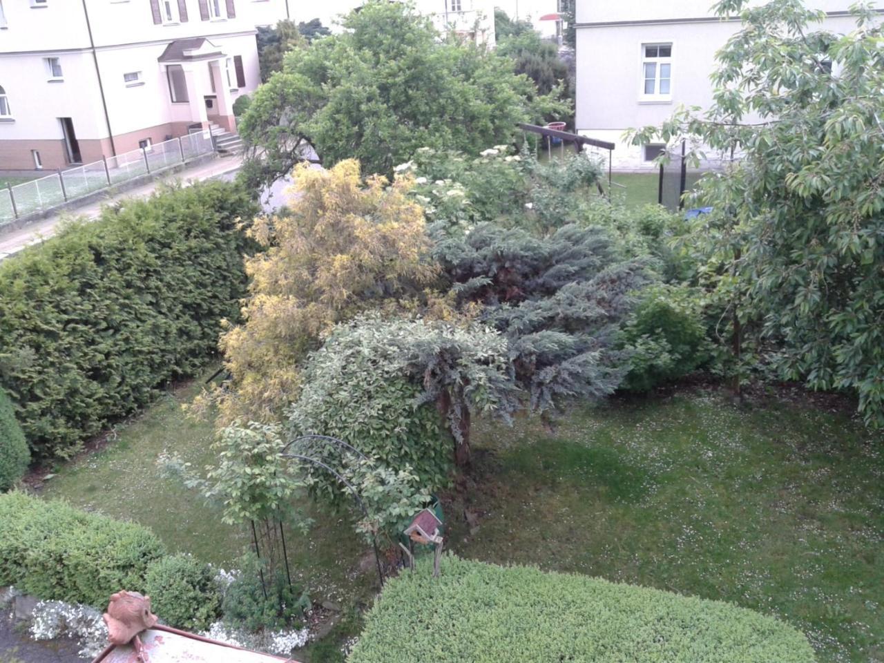 Villa Shafaly Mariánské Lázně Eksteriør billede